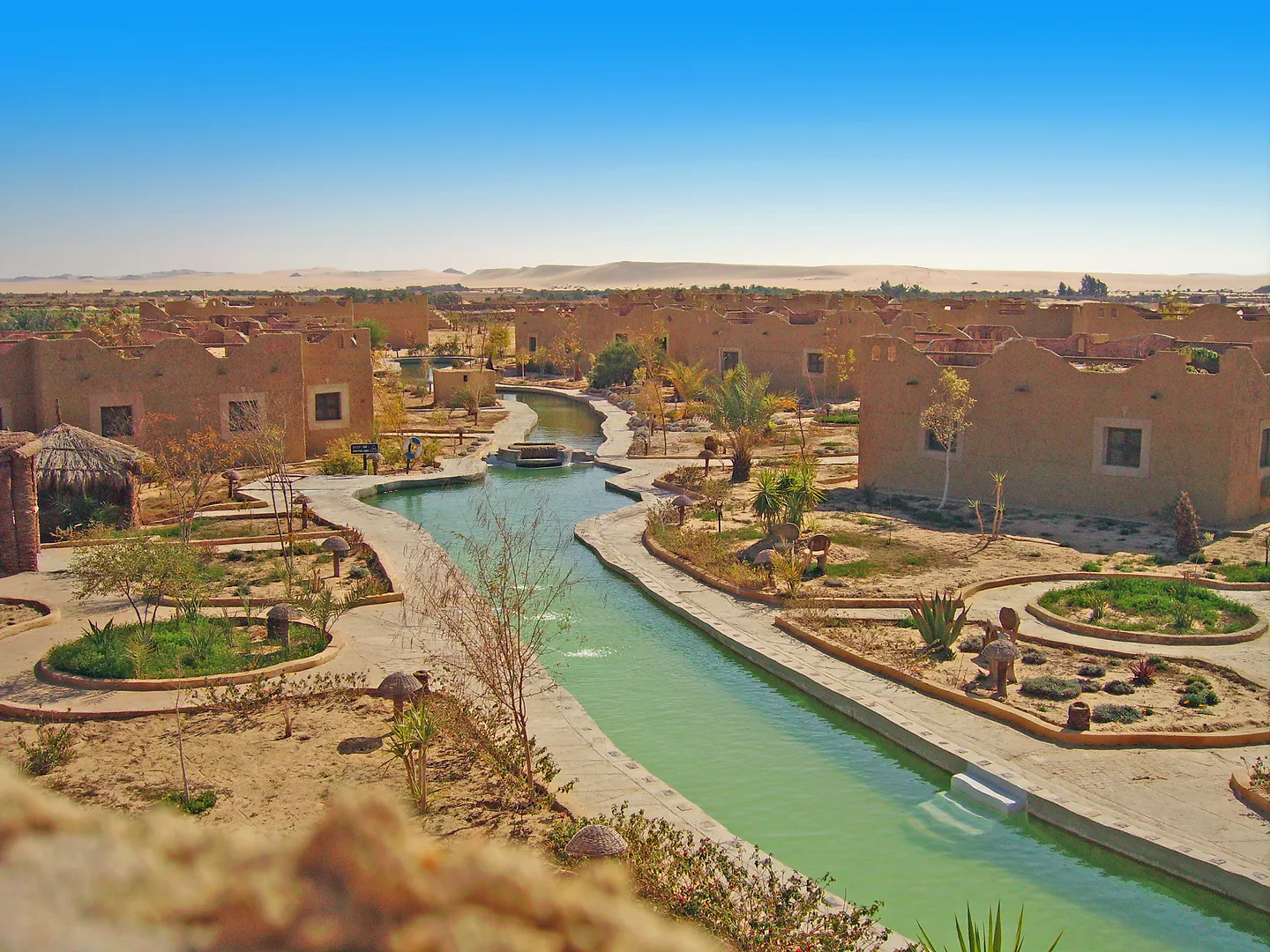 Oasis Tours