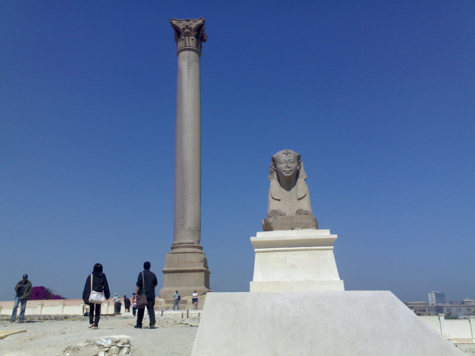 Internal day tours in Alexandria