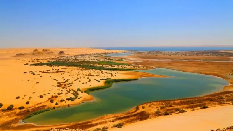 fayoum camping inside the desert